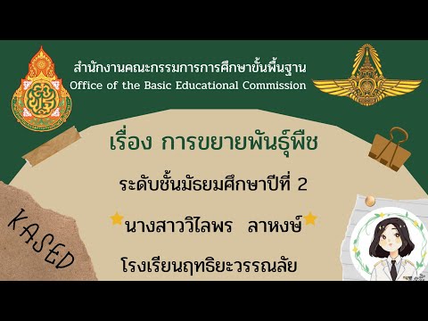 วีดีโอ: การขยายพันธุ์พืชดาวยิง – การแบ่งดาวยิงและการขยายพันธุ์เมล็ด