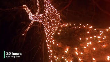 Twinkly Pro Showcase - Hartford, WI