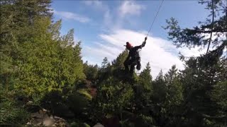 Fir Tree reduction pruning
