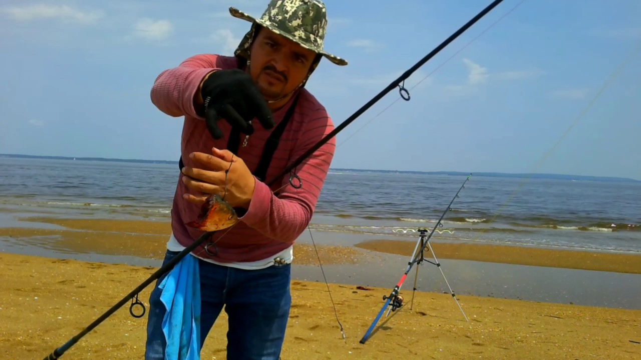 que caña usar para pescar en la playa y como poner correctamente la