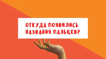 Откуда появились названия пальцев? | Занимательный факт