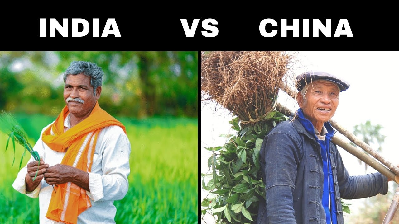 Agriculture comparison by india vs china - YouTube
