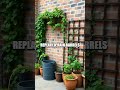 From Dusty Balcony to Fresh Garden Retreat