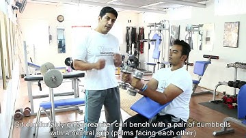 Biceps:  Dumbbell Preacher Hammer Curls, Tutorials by Rao