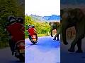 Elephants attack people on the road #shorts #animals #facts   #wildlife #youtubeshorts #viralshorts