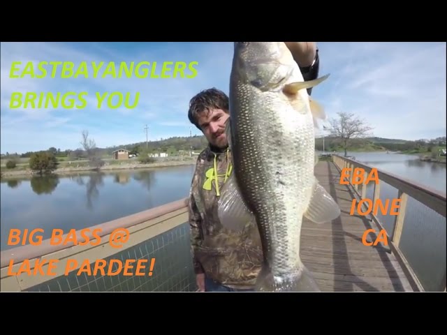 Lake Pardee Bass Fishing Spinnerbait Madness 2017 