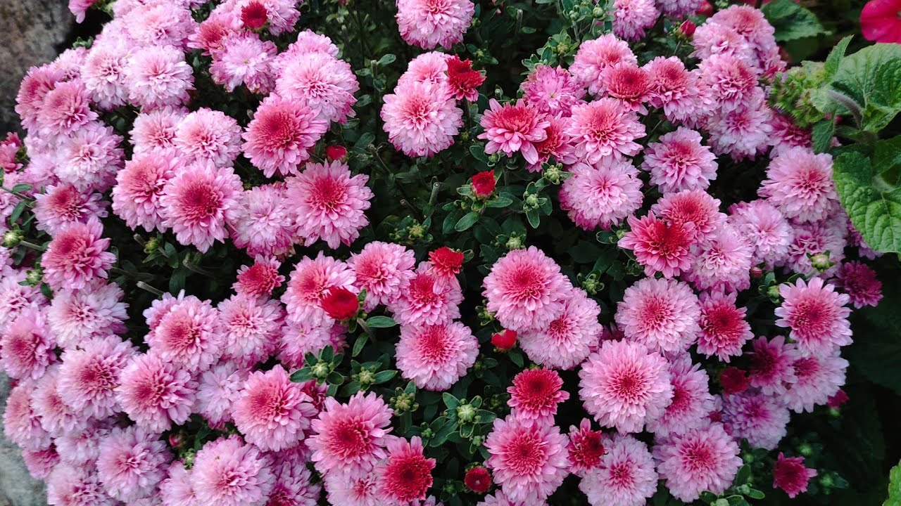 10.09.23. Охота на крота. Много готовки. - YouTube