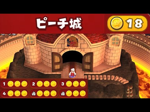 ピーチ城 スターコイン全18個 攻略 New スーパーマリオブラザーズ U デラックス All 18 Star Coins Peach S Castle Youtube