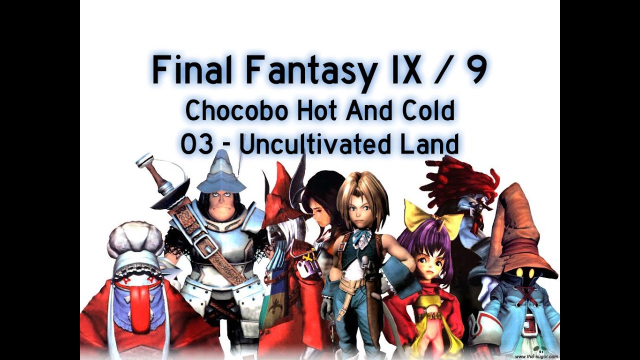 Final Fantasy IX / 9 - Chocobo Hot And Cold - Uncultivated Land (03)