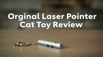 Original Laser Pointer Cat Toy Review | Rover.com