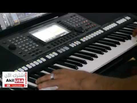 معزوفة موسيقية عزف اورج انا بعشقك ميادة الحناوي