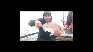 Celebrity 2Much_FishingNz Twilight fishing trip onboard Valda M Fishing Charters Tauranga Profile