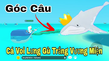(Play Together) Góc Câu Cá Voi Lưng Gù Trắng Vương Miện | CÁ Play