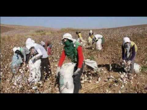 ibrahim el saad  süper eski etebe