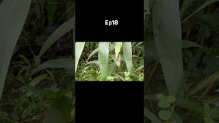 Estimated At Around 3000-3500 Steps