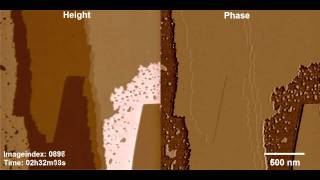 Calcite Reconstruction - Fast Scanning