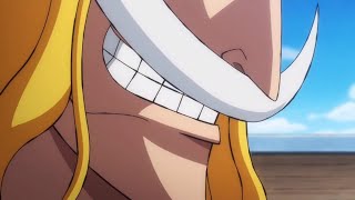 Whitebeards Reaction To Roger Becoming King Of Pirates The World Cheer For Roger