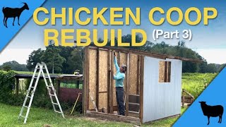 Chicken Coop Rebuild (Part 3) Walls