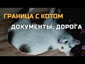 Что нужно для вывоза кота с Польши в Украину?