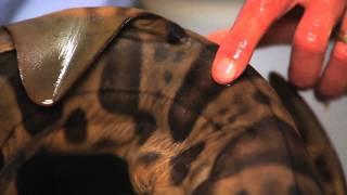 All about Sharks with John McCosker | Pottery Barn Kids screenshot 5