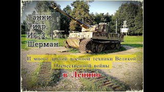 Танки Тигр, ИС-3, Шерман и много другой военной техники Великой Отечественной войны в Ленино