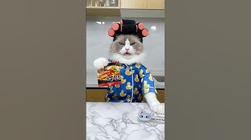 Ramen makeover 2.0! #thatlittlepuff #ramen