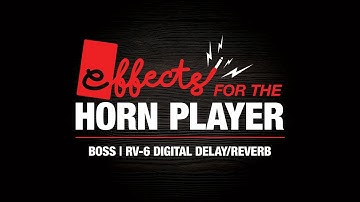 Effects for the Horn Player - Boss RV-6 Digital Delay / Reverb