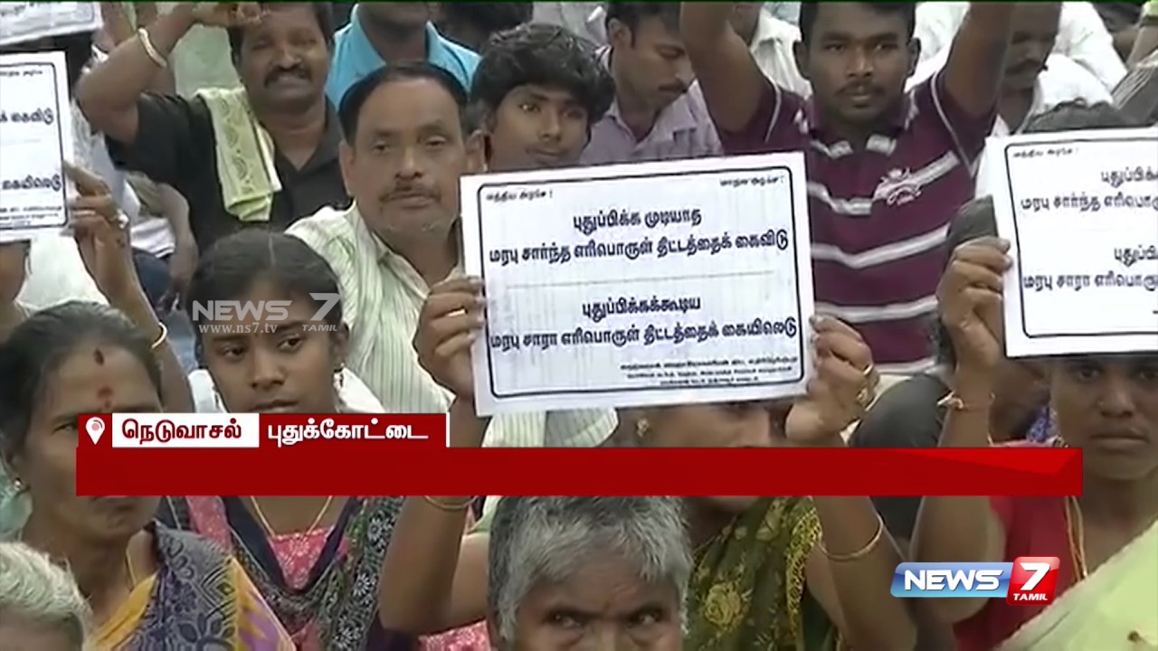 Neduvasal protest enters 15th day : reporter update | News7 Tamil - YouTube