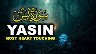 Peaceful Quran Recitation of Surah Yasin (Yaseen) سورة يس | SOFT VOICE