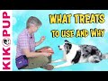 What treats to use and why - Professional Dog Training