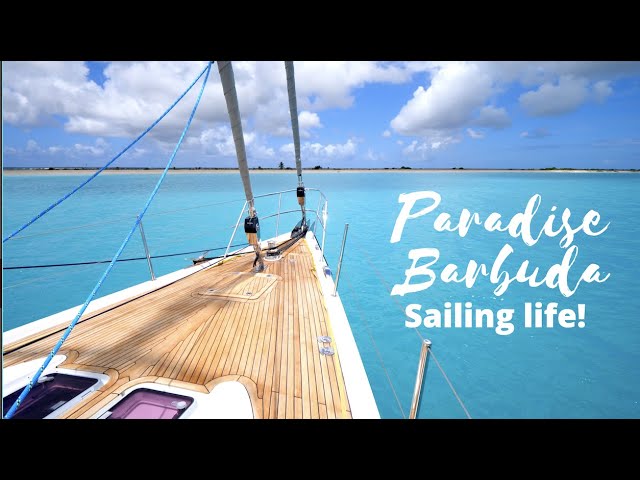 Sailing Barbuda – A bird watcher’s paradise EP42