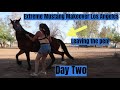 Leaving the Pen w/a Wild Mustang on Day Two | Los Angeles Extreme Mustang Makeover