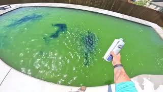 Bu Havuz Çöp Gibiydi 1 Günde Berrak Hale Getirdik