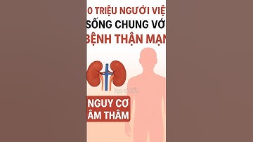 10 Triệu Người Việt Sống Chung Với Bệnh Thận Mạn – Nguy Cơ Âm Thầm