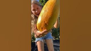 How to eat papaya in Indonesia and America #papaya