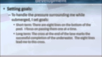 Lauren Mills IE MIM Application