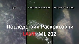 Раскоксовка Лавром, плюсы и минусы, последствия. LAVR