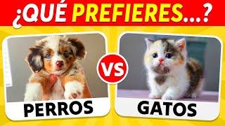 ¿Qué PREFIERES? Edición ANIMALES 🐶🐱