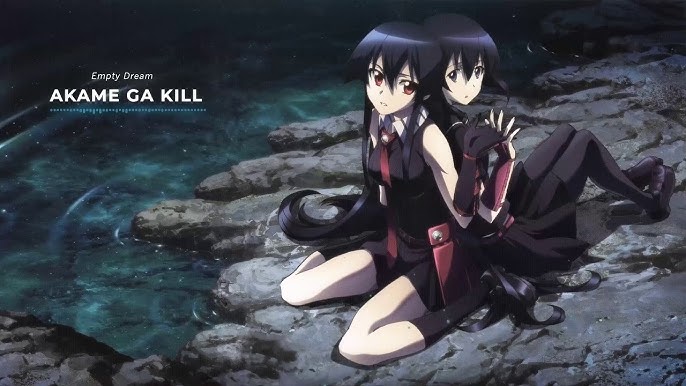 Why you should watch: Akame Ga Kill – Sleeping Geeks