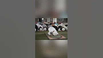 إلا صلاتي ما أخليها 