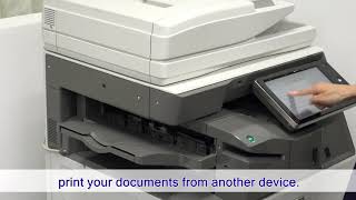 Celebrity Print Release - Sharp Photocopiers Profile