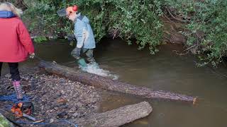 Clearing the logjam
