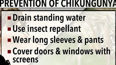 Mosquito-borne Chikunguya virus hits U.S.