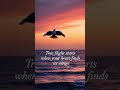 Break the Chains of Fear. Live Free 🔓 | Motivational Quote #shorts  #lifelessons #motivationalquotes