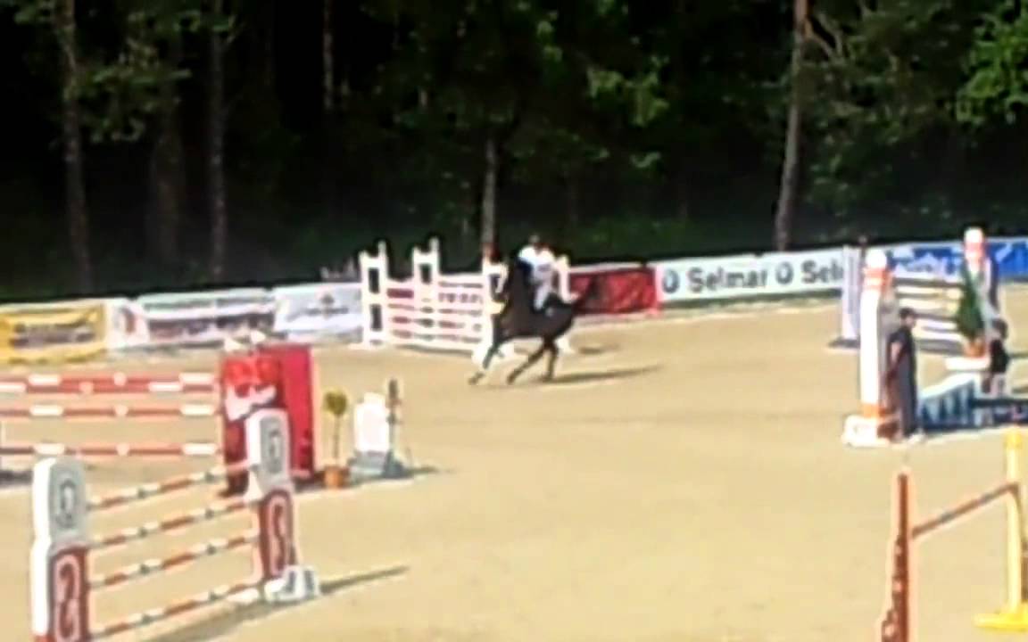 quinar x concept stallion 2005