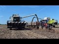 Napraforgó aratás 2015 (Sunflower Harvest) MTZ 820.4, CLAAS Lexion 560