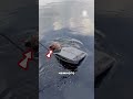 🐆 ОНИ СПАСЛИ ИЗМУЧЕНОГО ЯГУАРА 😢