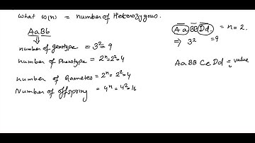 Mendelian genetics calculation