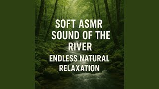 Soft ASMR Sound of the River, Harmony in Every Drop