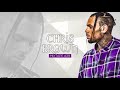 Best Of Chris Brown ( Mixtape #39 ) Hip Hop & Rnb By Coco Ernest